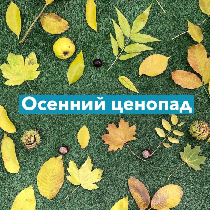 Осенний ценопад